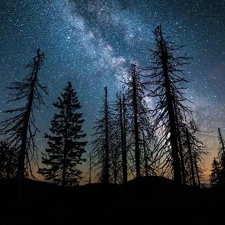 Дом отдыха Biela Skala - Chopok Jasna Juh *