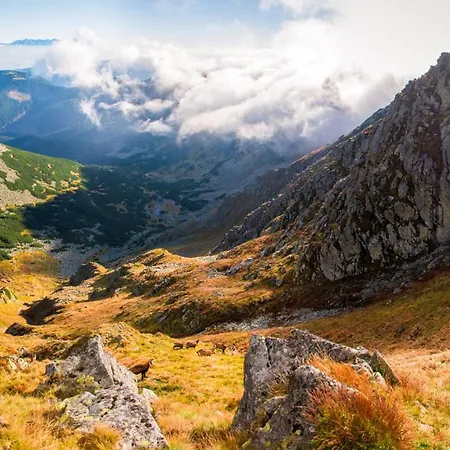 Biela Skala - Chopok Jasna Juh * Быстра