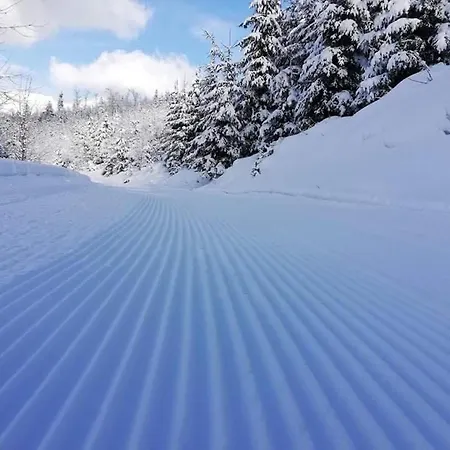 Дом отдыха Biela Skala - Chopok Jasna Juh Быстра