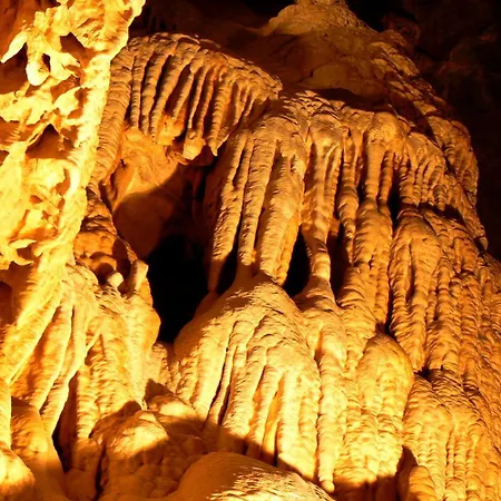 Hébergement de vacances Biela Skala - Chopok Jasna Juh Bystrá