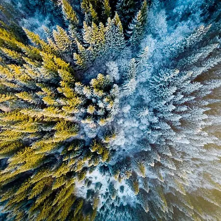 Biela Skala - Chopok Jasna Juh Быстра