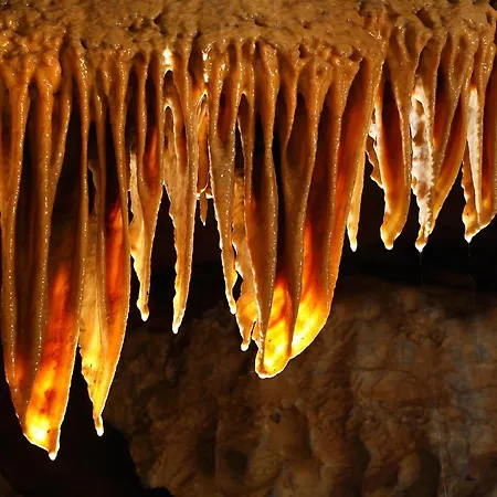 Biela Skala - Chopok Jasna Juh Дом отдыха *