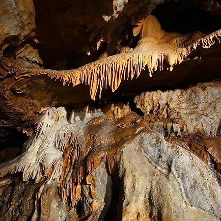 Biela Skala - Chopok Jasna Juh Hébergement de vacances *